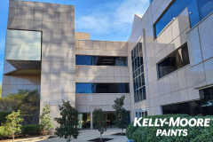 IT Audit Service for Paint Manufacturer